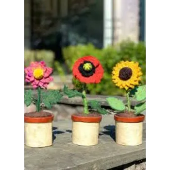 Beautiful Dahlia Plant